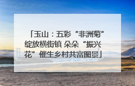 玉山：五彩“非洲菊”绽放横街镇 朵朵“振兴花”催生乡村共富图景
