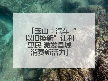 玉山：汽车“以旧换新”让利惠民 激发县域消费新活力