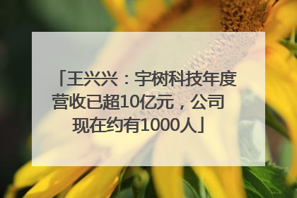 王兴兴：宇树科技年度营收已超10亿元，公司现在约有1000人