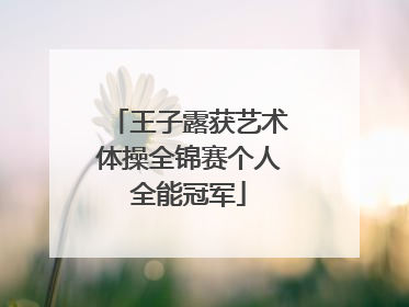 王子露获艺术体操全锦赛个人全能冠军