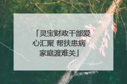 灵宝财政干部爱心汇聚 帮扶患病家庭渡难关