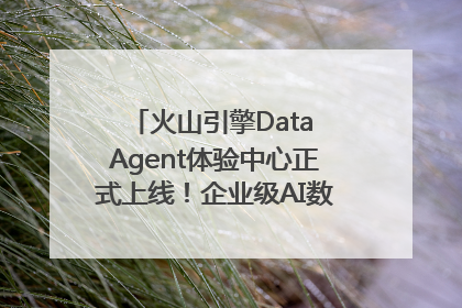 火山引擎Data Agent体验中心正式上线！企业级AI数据专家触手可及