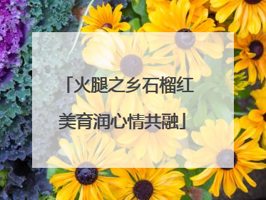火腿之乡石榴红 美育润心情共融