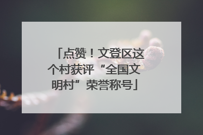 点赞！文登区这个村获评“全国文明村”荣誉称号