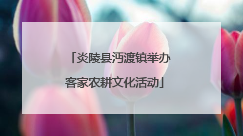 炎陵县沔渡镇举办客家农耕文化活动