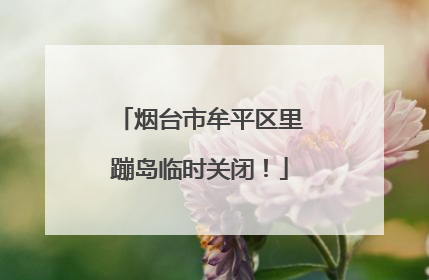 烟台市牟平区里蹦岛临时关闭！