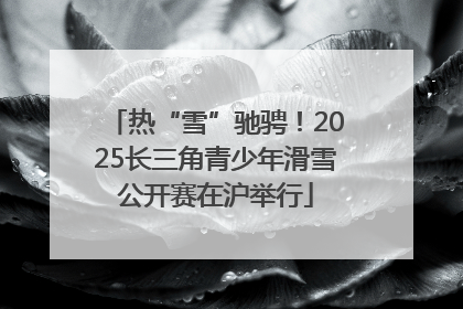 热“雪”驰骋！2025长三角青少年滑雪公开赛在沪举行