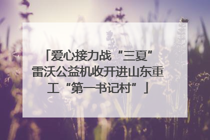 爱心接力战“三夏” 雷沃公益机收开进山东重工“第一书记村”