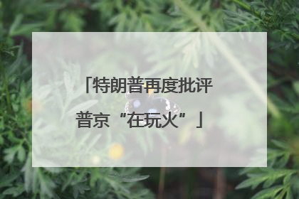 特朗普再度批评普京“在玩火”