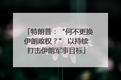 特朗普：“何不更换伊朗政权？” 以持续打击伊朗军事目标