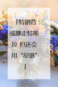 特朗普：或挪走特斯拉 但还会用“星链”