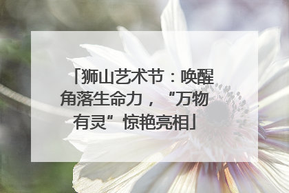 狮山艺术节：唤醒角落生命力，“万物有灵”惊艳亮相