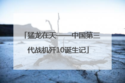 猛龙在天——中国第三代战机歼10诞生记