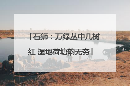 石狮：万绿丛中几树红 湿地荷塘韵无穷