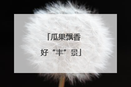 瓜果飘香 好“丰”景