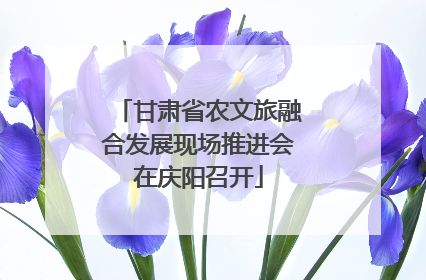 甘肃省农文旅融合发展现场推进会在庆阳召开