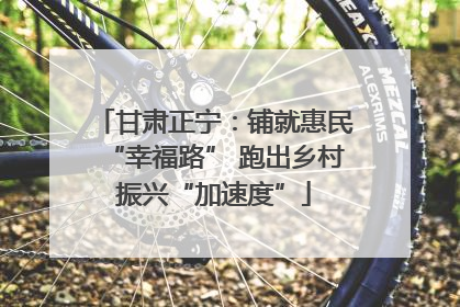 甘肃正宁：铺就惠民“幸福路” 跑出乡村振兴“加速度”