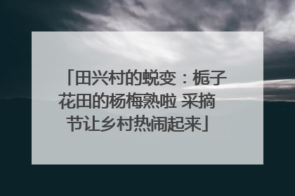 田兴村的蜕变：栀子花田的杨梅熟啦 采摘节让乡村热闹起来