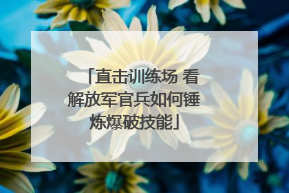 直击训练场 看解放军官兵如何锤炼爆破技能