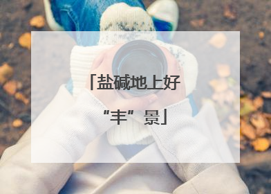 盐碱地上好“丰”景