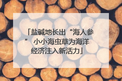 盐碱地长出“海人参” 小小海虫草为海洋经济注入新活力