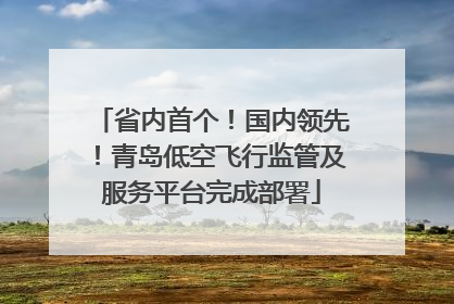 省内首个！国内领先！青岛低空飞行监管及服务平台完成部署