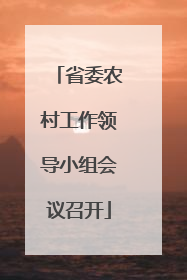 省委农村工作领导小组会议召开