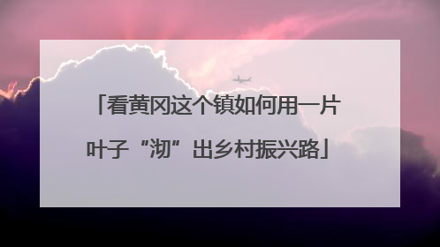 看黄冈这个镇如何用一片叶子“沏”出乡村振兴路