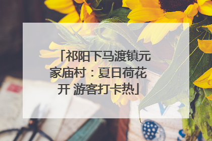 祁阳下马渡镇元家庙村：夏日荷花开 游客打卡热