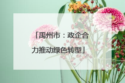 禹州市：政企合力推动绿色转型