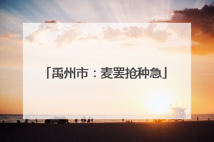 禹州市：麦罢抢种急