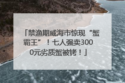 禁渔期威海市惊现“蟹霸王”！七人强卖3000元劣质蟹被铐！