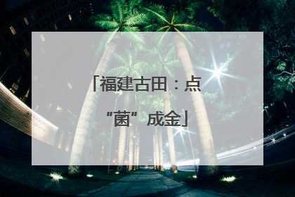 福建古田：点“菌”成金