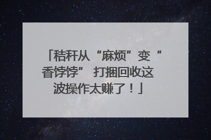 秸秆从“麻烦”变“香饽饽” 打捆回收这波操作太赚了！