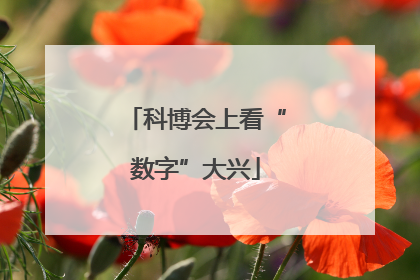 科博会上看“数字”大兴