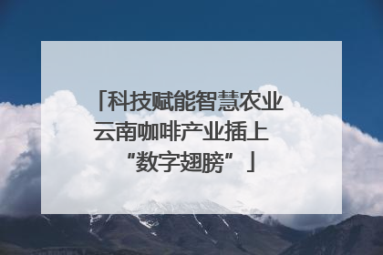 科技赋能智慧农业 云南咖啡产业插上“数字翅膀”