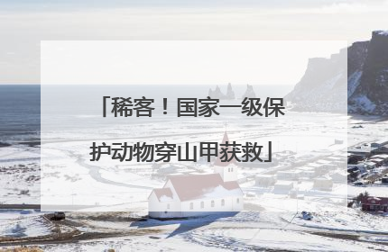 稀客！国家一级保护动物穿山甲获救