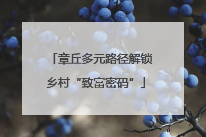章丘多元路径解锁乡村“致富密码”