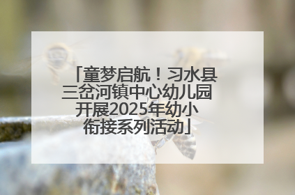 童梦启航！习水县三岔河镇中心幼儿园开展2025年幼小衔接系列活动
