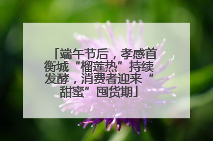 端午节后，孝感首衡城“榴莲热”持续发酵，消费者迎来“甜蜜”囤货期