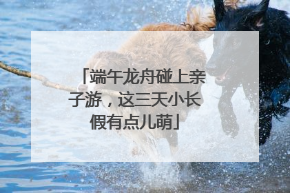 端午龙舟碰上亲子游，这三天小长假有点儿萌