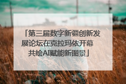 第三届数字新疆创新发展论坛在克拉玛依开幕 共绘AI赋能新图景