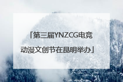 第三届YNZCG电竞动漫文创节在昆明举办