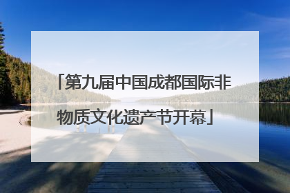 第九届中国成都国际非物质文化遗产节开幕