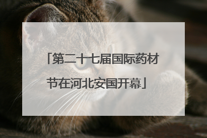第二十七届国际药材节在河北安国开幕