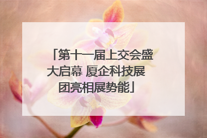 第十一届上交会盛大启幕 厦企科技展团亮相展势能