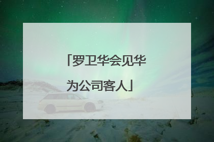 罗卫华会见华为公司客人