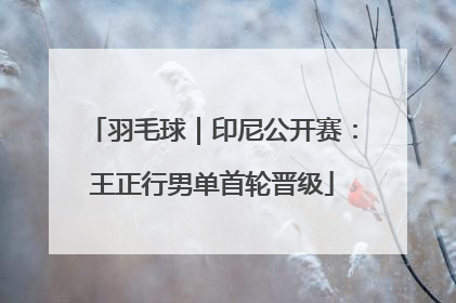 羽毛球｜印尼公开赛：王正行男单首轮晋级