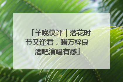 羊晚快评｜落花时节又逢君，睹万梓良酒吧演唱有感
