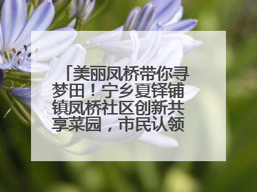 美丽凤桥带你寻梦田！宁乡夏铎铺镇凤桥社区创新共享菜园，市民认领菜土，体验耕种收获乐趣